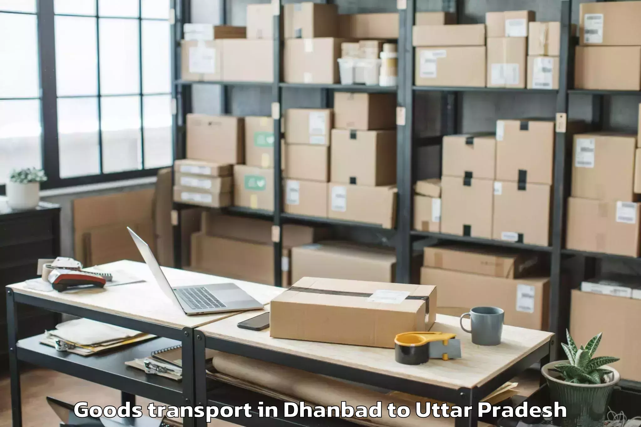 Reliable Dhanbad to Biswan Goods Transport